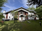 ³¤¥Î¸ý¼«Á³¶¿¤ÎÂ礤ÊÊÌÁñ