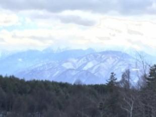 富士見高原別荘地 憩いの森