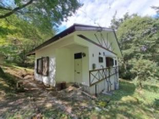 学者村第３期　木々に囲まれた別荘らしい雰囲気の平家建