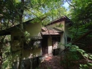 うぐいすの森別荘地２