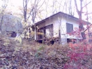 北軽井沢プリンスランド花の街戸建(民泊可)