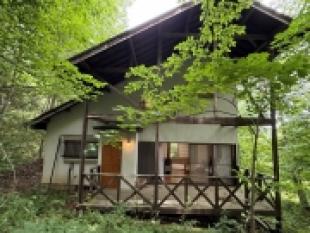 学者村第３期　南向きデッキの陽光が気持ち良い木々に囲まれた別荘