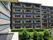 �ե�����������Ȭ���ٹ⸶