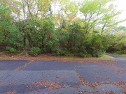 ��Τ�ڹ⸶�����֤ο����϶������