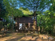 ŷ��⸶����