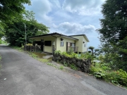 �������ɸͷ�����