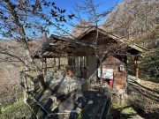 ��ޥ꥾���ȥ��������ʤ�����������礭�ʥ��åɥǥå��ա�