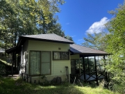 �������⸶�����ϡ�����Ū�ʥ磻�ɥ��åɥǥå���