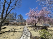 À¶Î¤¤ÎÂçÍýÀФÎÊÌÁñ