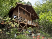 �������⸶�����ϡ����ե��դ����ģˤ�ʪ�