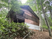 ʿ⸶ģɣ٤Ǽʬι⸶饤ա