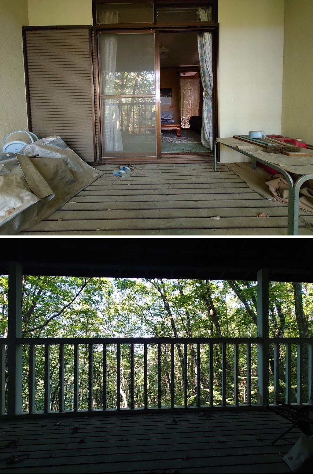 ¤¦¤°¤¤¤¹¤Î¿¹ÊÌÁñÃÏ£²