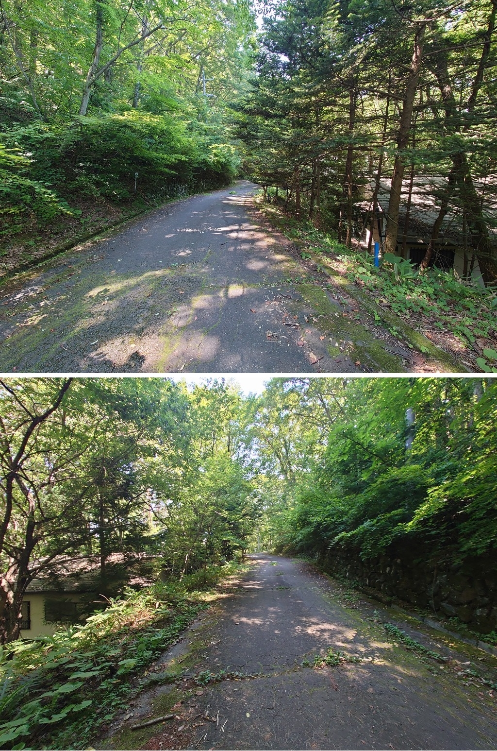 ¤¦¤°¤¤¤¹¤Î¿¹ÊÌÁñÃÏ£²