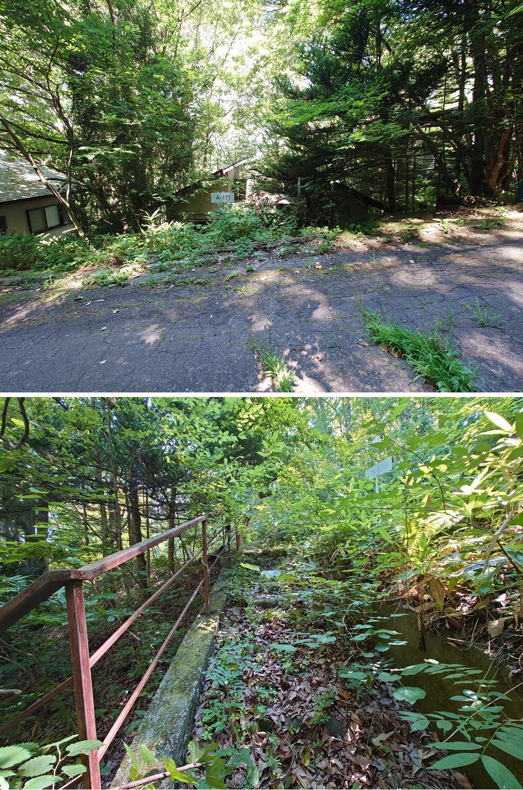 ¤¦¤°¤¤¤¹¤Î¿¹ÊÌÁñÃÏ£²