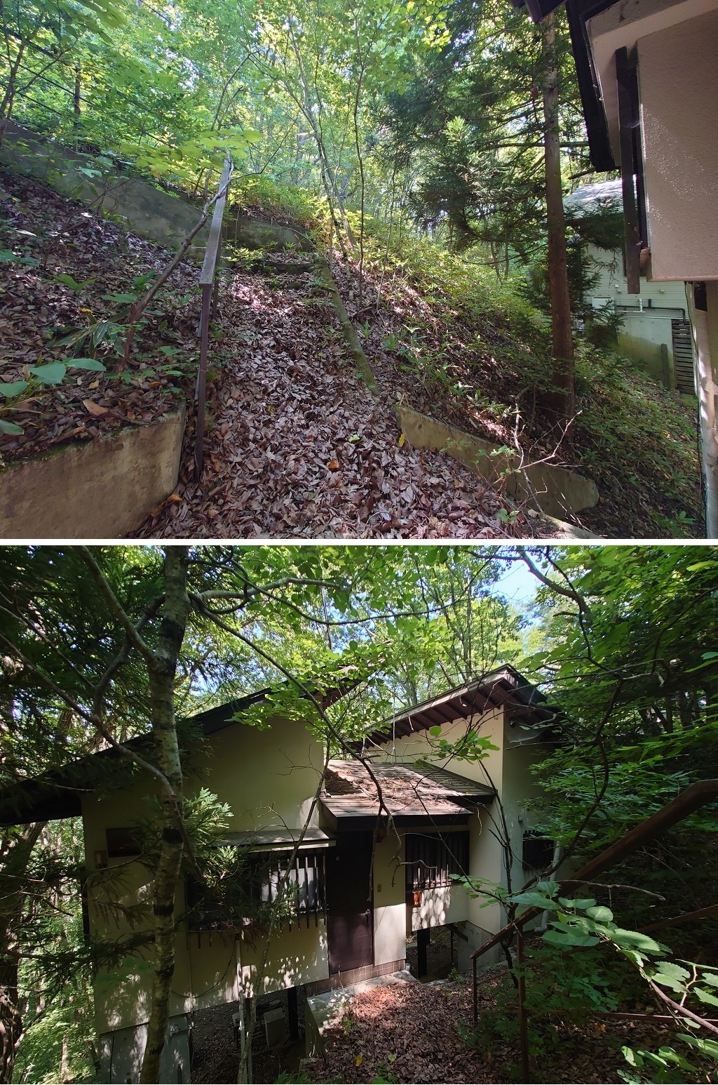 ¤¦¤°¤¤¤¹¤Î¿¹ÊÌÁñÃÏ£²