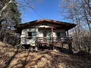 �̷ڰ����ץ�󥹥���Ļ�γ� �ͷ������̱��ġ�