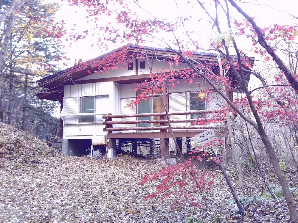 ̷ڰץ󥹥Ļγͷ(̱)