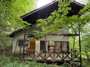 ³Ø¼Ô¼Â裳´ü¡¡Æî¸þ¤¥Ç¥Ã¥¤ÎÍÛ¸÷¤¬µ¤»ý¤ÁÎɤ¤ÌÚ¡¹¤Ë°Ï¤Þ¤ì¤¿ÊÌÁñ